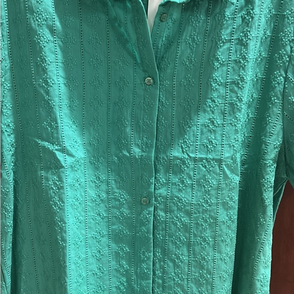 Green Embroidered Button-Down Shirt - Picture 3 of 4